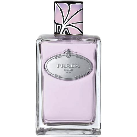 prada infusion de tubereuse price|Infusion de Tubéreuse by Prada » Reviews & Perfume Facts.